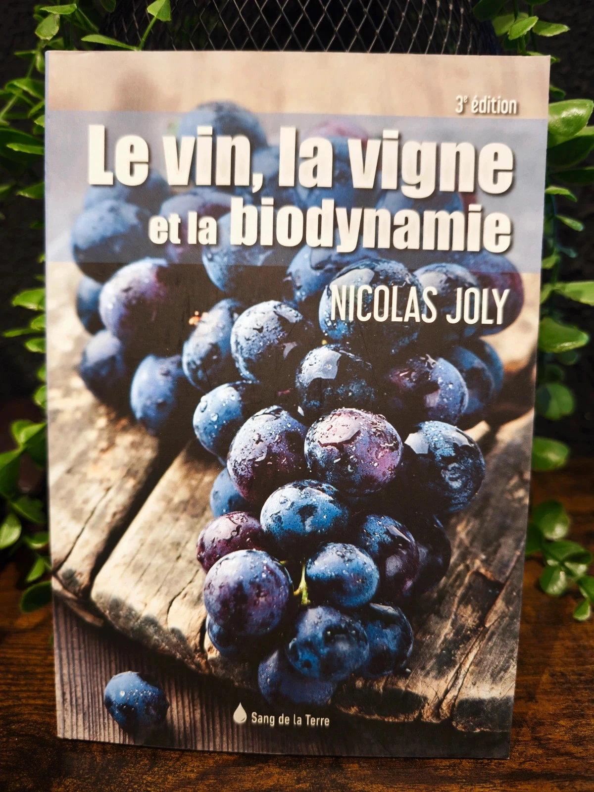 Le vin, la vigne et la biodynamie